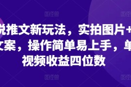 热门项目小说推文新玩法，实拍图片+小说文案，操作简单易上手，单条视频收益四位数11-25冒泡网