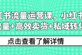 热门项目小红书流量运营课，小红书搞流量+高效卖货+私域转化09-01冒泡网