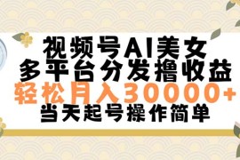 每日（11684期）视频号AI美女，轻松月入30000+,操作简单轻松上手便宜07月18日中创网VIP项目