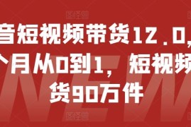 简单项目抖音短视频带货12.0，14个月从0到1，短视频带货90万件便宜07月11日冒泡网VIP项目