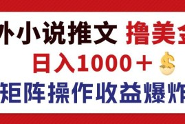 最新项目（12333期）最新海外小说推文撸美金，日入1000＋蓝海市场，矩阵放大收益爆炸08-26中创网