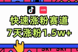 每天（11949期）涨粉超快蓝海赛道！轻松伪原创，7天涨粉1.5w+便宜08月03日中创网VIP项目