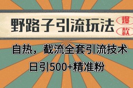 每天抖音小红书视频号全平台引流打法，全自动引流日引2000+精准客户福缘网