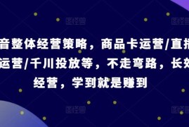 创业项目抖音整体经营策略，商品卡运营/直播间运营/千川投放等，不走弯路，学到就是赚到【录音】便宜08月10日冒泡网VIP项目