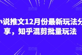 热门项目小说推文12月份最新玩法分享，知乎混剪批量玩法12-07冒泡网