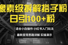 赚钱项目像素级拆解搭子粉，日引100+，小白看完可上手，最新变现思路详解【揭秘】便宜08月01日冒泡网VIP项目