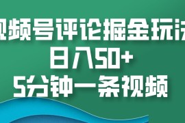 每日视频号评论掘金玩法，日入50+，5分钟一条视频11-23福缘网