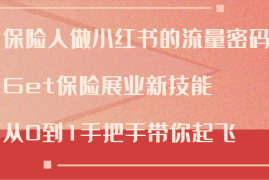 创业项目保险人做小红书的流量密码，Get保险展业新技能，从0到1手把手带你起飞08-23福缘网