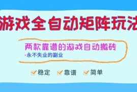 两款靠谱的游戏全自动搬砖项目，日入1k+，稳定可矩阵，永不失业的副业【揭秘】