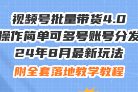 每日（12093期）24年8月最新玩法视频号批量带货4.0，操作简单可多号账号分发，附全套落&#8230;便宜08月11日中创网VIP项目