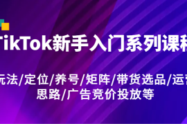 2024最新TikTok新手入门系列课程，玩法/定位/养号/矩阵/带货选品/运营思路/广告竞价投放等便宜08月01日福缘网VIP项目