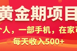 2024最新（11527期）黄金期项目，电商搞钱！一个人，一部手机，在家可做，每天收入500+便宜07月09日中创网VIP项目