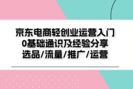 2024最新（11569期）京东电商-轻创业运营入门0基础通识及经验分享：选品/流量/推广/运营便宜07月12日中创网VIP项目