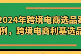 创业项目2024年跨境电商选品案例，跨境电商利基选品（更新）08-19冒泡网