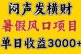 简单项目30天赚了7.5W暑假风口项目，比较好学，2天左右上手便宜08月05日福缘网VIP项目