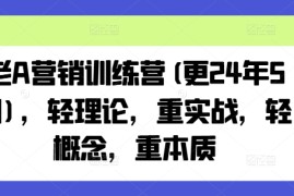 赚钱项目老A营销训练营(更24年11月)，轻理论，重实战，轻概念，重本质11-22冒泡网