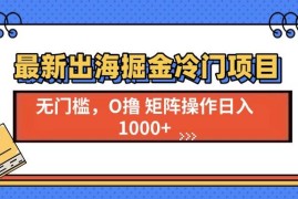 2024最新（13672期）最新出海掘金冷门项目，单号日入1000+12-14中创网