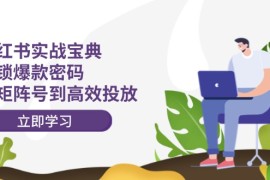 创业项目小红书实战宝典：解锁爆款密码，从矩阵号到高效投放便宜08月19日福缘网VIP项目