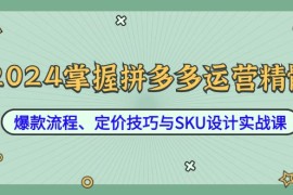 赚钱项目（12703期）2024掌握拼多多运营精髓：爆款流程、定价技巧与SKU设计实战课09-24中创网