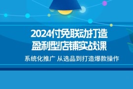 创业项目（11458期）2024付免联动-打造盈利型店铺实战课，系统化推广从选品到打造爆款操作便宜07月06日中创网VIP项目