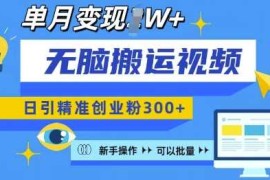 每天无脑搬运视频号可批量复制，新手即可操作，日引精准创业粉300+，月变现过W 【揭秘】12-20冒泡网