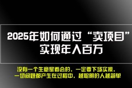 最新项目（13468期）2025年如何通过“卖项目”实现年入百万，做网赚必看！！11-26中创网