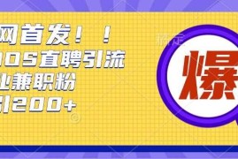 每日通过Boss直聘，每天轻松钓到200+多条创业大鱼的秘籍【揭秘】11-21冒泡网