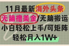 2024最新（13390期）海外头条，无脑搬运撸美金，小白轻松上手，可矩阵操作，轻松月入1W+11-20中创网