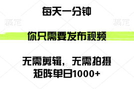 每天（12538期）矩阵单日1000+，你只需要发布视频，用时一分钟，无需剪辑，无需拍摄09-10中创网