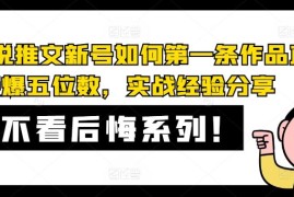 2024最新AI小说推文新号如何第一条作品直接爆五位数，实战经验分享便宜08月06日冒泡网VIP项目