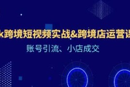 Tiktok跨境短视频实战，跨境店运营，账号引流、小店成交与抖音号运营