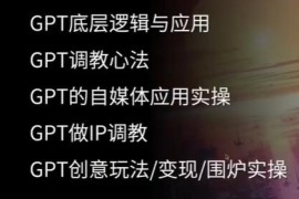 CHATGPT自媒体精英课，GPT 5种变现方法和创意用法对比抖音号运营