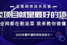 2024最新（13662期）2025年普通人如何通过“知识付费”卖项目年入“百万”镰刀训练营超级IP…12-13中创网