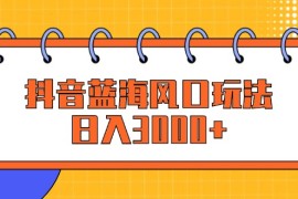 简单项目（12518期）抖音蓝海风口玩法，日入3000+09-08中创网