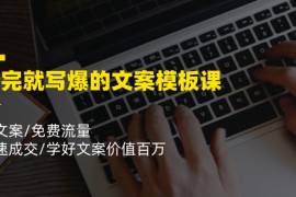 热门项目看完就写爆的文案模板课，好文案/免费流量/快速成交/学好文案价值百万便宜07月13日福缘网VIP项目