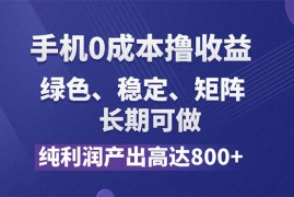 创业项目（11976期）纯利润高达800+，手机0成本撸羊毛，项目纯绿色，可稳定长期操作！便宜08月04日中创网VIP项目