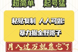 最新项目（12298期）头条号暴力掘金野路子玩法，人人可做！100%原创爆文08-24中创网