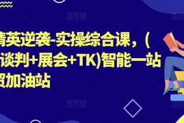 2024最新外贸精英逆袭-实操综合课，(拓客+谈判+展会+TK)智能一站式外贸加油站，06月29日冒泡网VIP项目