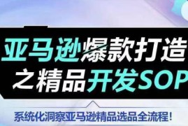 【训练营】亚马逊爆款打造之精品开发SOP，系统化洞察亚马逊精品选品全流程，06月24日冒泡网VIP项目