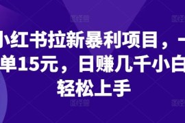 热门项目小红书拉新暴利项目，一单15元，日赚几千小白轻松上手【揭秘】便宜08月11日冒泡网VIP项目