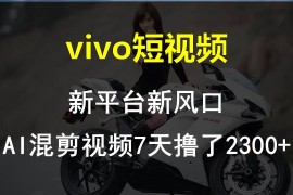 实战【老万创富圈】最新技术助力！VIVO中视频项目每周轻松赚1w+，AI去重大揭秘！，07月03日福缘网VIP项目