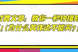 创业项目某付费文章：教你一秒钟排除股票!(为什么英伟达不能买?!)便宜08月11日冒泡网VIP项目