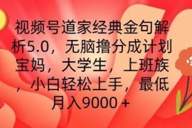 每天视频号道家经典金句解析5.0.无脑撸分成计划，小白轻松上手，最低月入9000+【揭秘】便宜07月16日冒泡网VIP项目