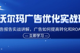 简单项目（11847期）沃尔玛广告优化实战班，广告报告实战讲解，广告如何提高转化和ROAS等便宜07月29日中创网VIP项目