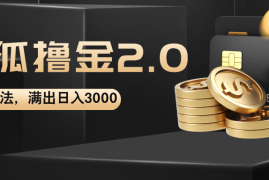 最新项目（12212期）搜狐撸金2.0最新玩法，无脑日入3000+，可无限扩大08-18中创网