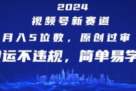 实战2024视频号新赛道，月入5位数+，原创过审，搬运不违规，简单易学【揭秘】便宜07月22日冒泡网VIP项目