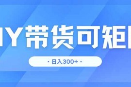 （14414期）DY带货，日入300＋矩阵无上限