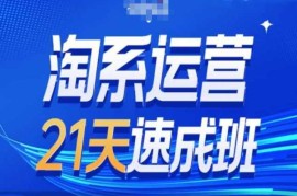 实战淘系运营21天速成班第34期-搜索最新玩法和25年搜索趋势12-12冒泡网