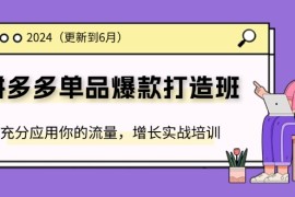 创业项目（11556期）2024拼多多-单品爆款打造班(更新6月)，充分应用你的流量，增长实战培训便宜07月11日中创网VIP项目