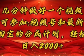 简单项目（11835期）几分钟一个视频，可在视频号，淘宝同时获取收益，新手小白轻松日入2000…便宜07月29日中创网VIP项目